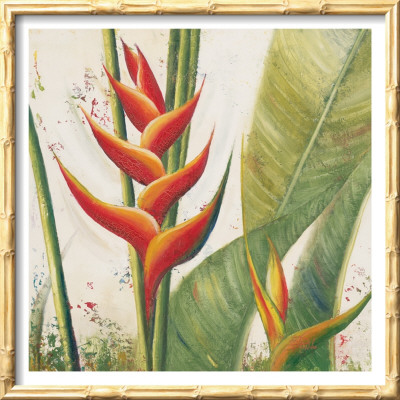 Helliconias With Leaves I by Patricia Quintero-Pinto Pricing Limited Edition Print image
