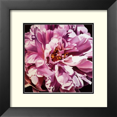 Pink Peony by Jennifer Harmes Pricing Limited Edition Print image