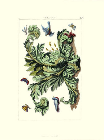 Acanthus With Birds by Michelangelo Pergolesi Pricing Limited Edition Print image