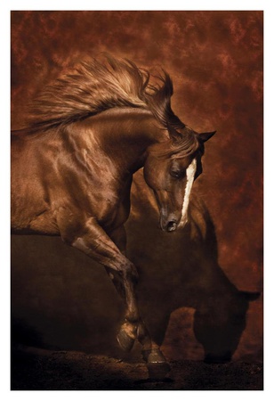 Horse Dancer by Robert Dawson Pricing Limited Edition Print image