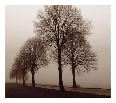 Silhouttes In Sepia I by Ilona Wellmann Pricing Limited Edition Print image