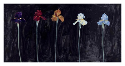 Midnight Irises by Marysia Pricing Limited Edition Print image