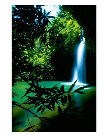 Twin Falls by Ron Dahlquist Pricing Limited Edition Print image
