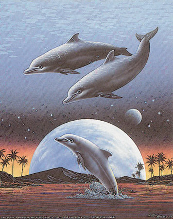Rising Dolphins by Alan Metz Pricing Limited Edition Print image