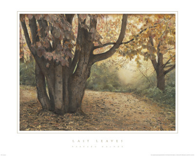 Last Leaves by Barbara Kalhor Pricing Limited Edition Print image