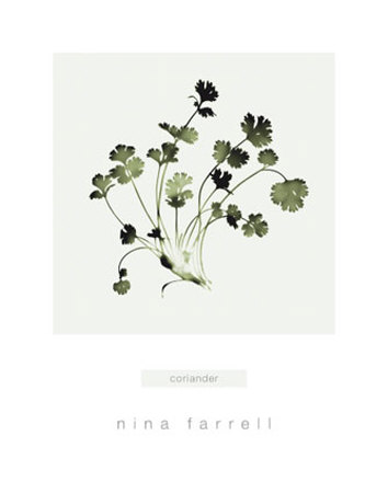 Coriander by Nina Farrell Pricing Limited Edition Print image