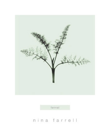 Fennel by Nina Farrell Pricing Limited Edition Print image