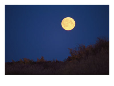 A Full Moon Rises Above The Mackenzie River Delta by Raymond Gehman Pricing Limited Edition Print image
