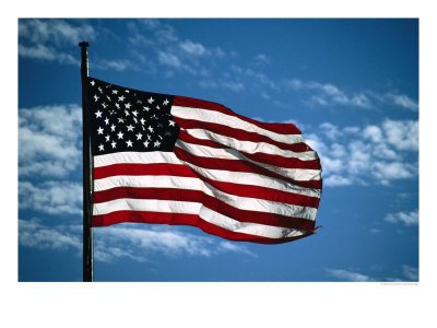 American Flag Flying At Full Mast, Cape Cod, Usa by Cheryl Conlon Pricing Limited Edition Print image