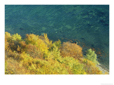 Aerial Of Cliff Overlooking Water, Jasmund National Park, Germany by Norbert Rosing Pricing Limited Edition Print image