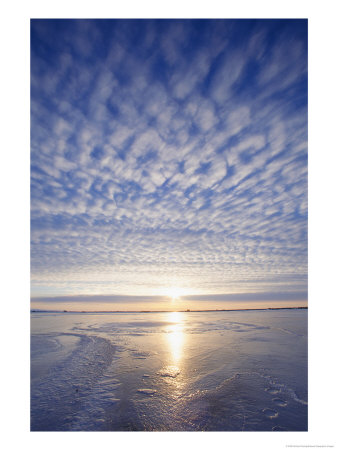 Sunrise Over Ice-Covered Water, Under A Cloud-Filled Sky by Norbert Rosing Pricing Limited Edition Print image