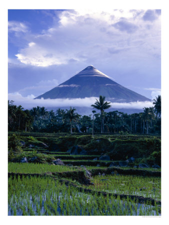 Mt. Mayon, One Of The Most Dangerous Volcanoes In The World, Above Rice Paddys, Albay, Philippines by John Pennock Pricing Limited Edition Print image