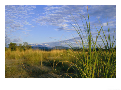 Hills Loom In The Distance On A Grassland Under A Cloud Sprinkled Sky by Steve Winter Pricing Limited Edition Print image