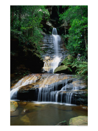 Empress Falls Blue Mountains National Park, New South Wales, Australia by Ross Barnett Pricing Limited Edition Print image
