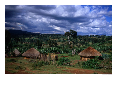 Traditional Village Huts, Southern Nations, Nationalities And Peoples, Ethiopia by Jane Sweeney Pricing Limited Edition Print image