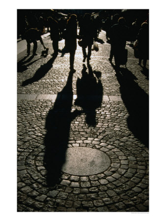 Shadows On Cobble-Stoned Rue Cler, Paris, France by Martin Moos Pricing Limited Edition Print image