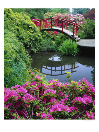 Azaleas And Moon Bridge, Kubota Garden by Mark Windom Pricing Limited Edition Print image