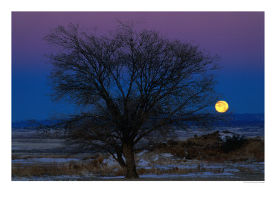Moonrise Over The Landscape, Pueblo, Colorado, Usa by Jim Wark Pricing Limited Edition Print image