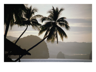 El Nido Pangulasian Island At Dusk El Nido, Palawan, Philippines by John Borthwick Pricing Limited Edition Print image