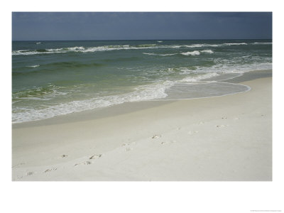 Footprints Along A Sandy Beach With Gentle Surf by Raymond Gehman Pricing Limited Edition Print image