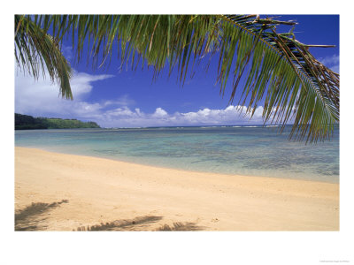Anini Beach, Kauai, Hi by Elfi Kluck Pricing Limited Edition Print image