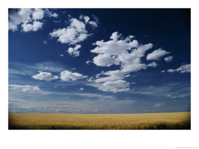 Wheat Field In Central Washington by Michael Klesius Pricing Limited Edition Print image