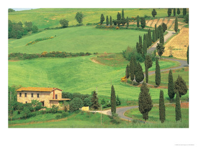 Curvy Tuscan Road, Tuscany, Italy by Walter Bibikow Pricing Limited Edition Print image