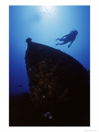 Diver Swimming Above Shipwreck by Wayne Brown Pricing Limited Edition Print image