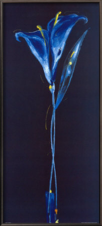Midnight Blue Calla Lily Panel by Alfred Gockel Pricing Limited Edition Print image