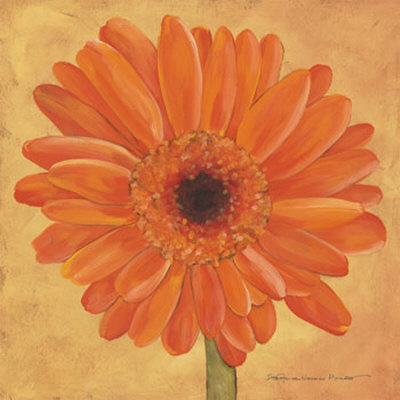 Orange Gerber by Stephanie Marrott Pricing Limited Edition Print image