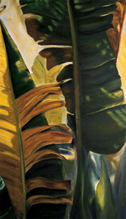 Light Through The Banana Leaves by Mary Spears Pricing Limited Edition Print image