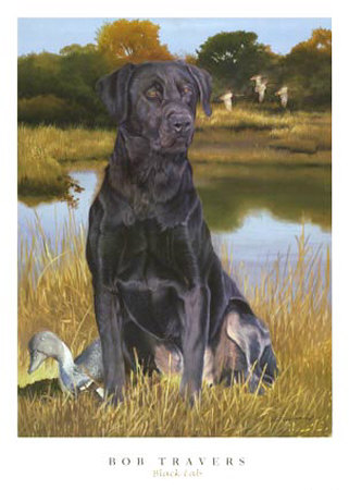 Black Lab by Robert Travers Pricing Limited Edition Print image