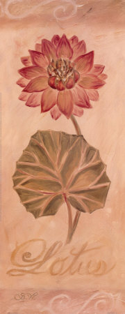 Lotus by Shari White Pricing Limited Edition Print image