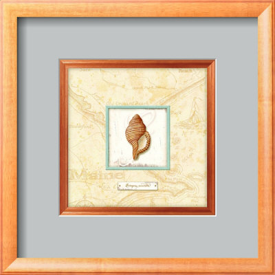 Sea Treasure Iv by Charlene Audrey Pricing Limited Edition Print image