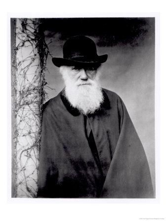 Portrait Of Charles Darwin 1881 by Julia Margaret Cameron Pricing Limited Edition Print image