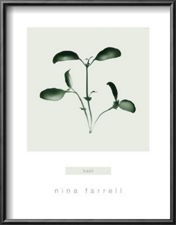 Basil by Nina Farrell Pricing Limited Edition Print image