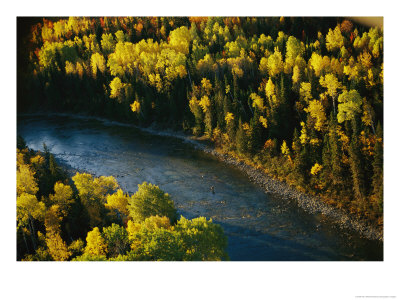 Elevated View Of A Sport Fisherman Fishing A Salmon River In The Fall by Paul Nicklen Pricing Limited Edition Print image