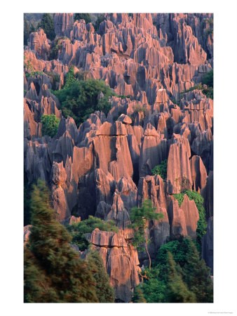 Morning Light On The Limestone Pillars Of The Stone Forest (Shi Lin), Shi Lin, China by Keren Su Pricing Limited Edition Print image