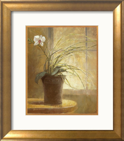 Orchid Simplicity by Yumiko Ichikawa Pricing Limited Edition Print image