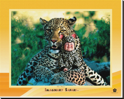 Leopard by Tom Arma Pricing Limited Edition Print image