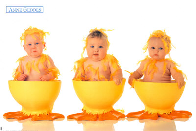 Eggcups by Anne Geddes Pricing Limited Edition Print image