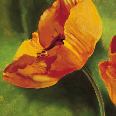 Coquelicots Dans Le Soleil I by Pierre Viollet Pricing Limited Edition Print image