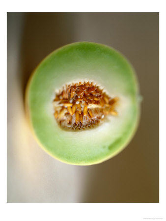 One Half Of A Honeydew Melon by Chris Rogers Pricing Limited Edition Print image