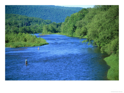 Fishs Eddy Stream, Man Fly Fishing by Barry Winiker Pricing Limited Edition Print image