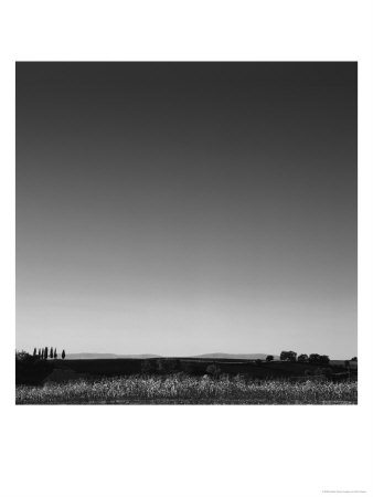 Field At Dusk, Monteriggioni, Italy by Eric Kamp Pricing Limited Edition Print image