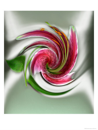 Florida, Abstract View Of Flower Swirled by Pat Canova Pricing Limited Edition Print image