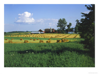 Amish Farms, Vernon County, Wisconsin by Joseph Fire Pricing Limited Edition Print image