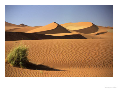 Sand Dunes In Namib Desert, Namibia by Walter Bibikow Pricing Limited Edition Print image