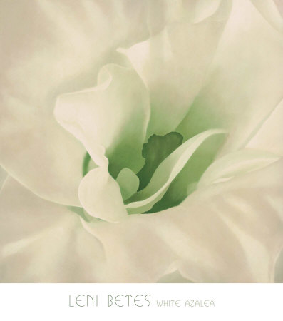 The Rose's Petals by Leni Betes Pricing Limited Edition Print image
