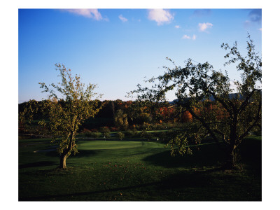 Orchard Creek Golf Club by Stephen Szurlej Pricing Limited Edition Print image